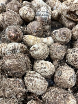 Close-up of eddoes in a bin at a produce market. The tropical vegetable is closely related to taro.