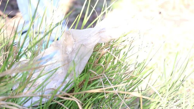 Passing litter in the grass: the problem of pollution and indifference to the environment. People pass by without paying attention to garbage