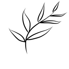 simple leaf drawing elements