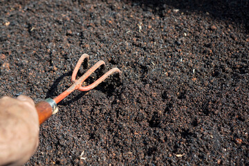 Photo of a man's hand holding a hand rake to cultivate the soil in a raise bed                      