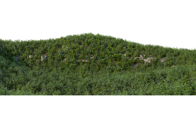 Landscape lake and hill on transparent background