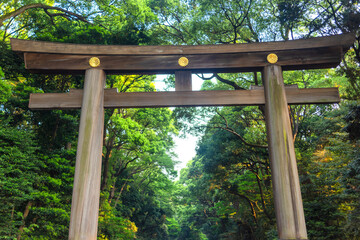Fototapeta premium Torii gate leading to the Meiji Shrine complex, Meiji Jingu in Tokyo, Japan