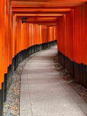 Torii Gates