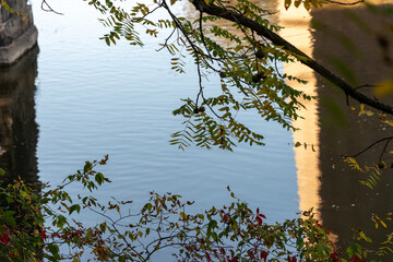 branches and reflection of overpass bridge on the water