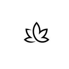 Leaf and herbs logo vector