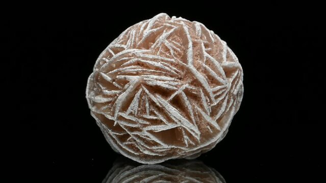 'Desert Rose' - Baryte (barium sulphate) rotating slowly against a black background