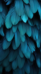 Beautiful colorful background of toucan feathers, backdrop of exotic tropical bird feathers