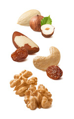 Blanched almonds, hazelnuts, cashew, walnuts, brazil nuts and raisin isolated on white background....