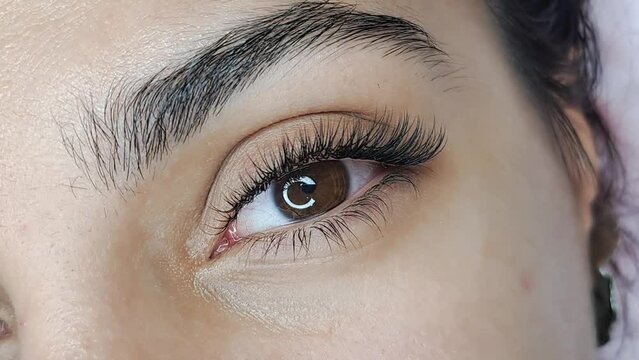 Close up of eye with eyelash Extensions in beauty salon macro view 