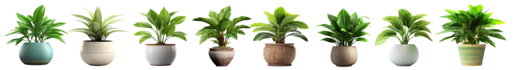 Foto op Canvas Collection of potted indoor houseplants in various decorated pots, isolated on a transparent background. PNG, cutout, or clipping path © Transparent png