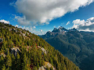 Canadian Mountain Landscape. Fall Season. Aerial Nature Background.