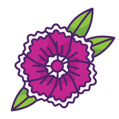 Dianthus flower icon design. Floral icon