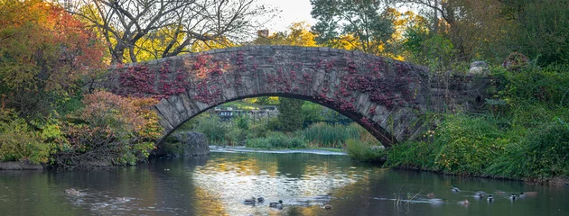 Keuken foto achterwand Gapstow Brug Gapstow Bridge in Central Park,autumn