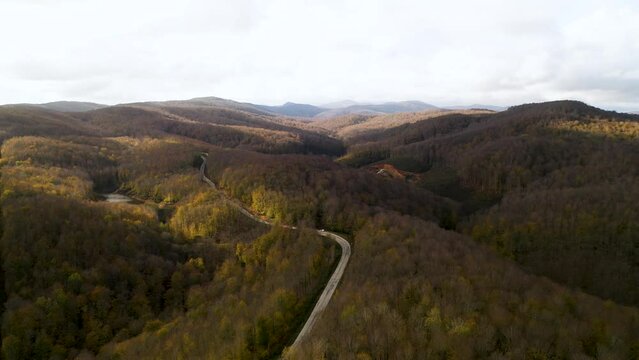The road passes through the trees in the floodplain forest. Aerial view of the forest from drone. Igneada, Kirklareli, Turkey