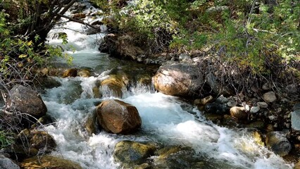 Late summer rains increase flowing cascades of this charismatic creek in the Eastern Sierra Nevada.