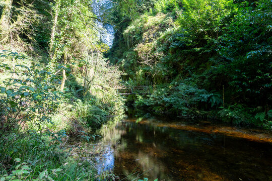 The river Lyd flowing through Lydford Gorge in Devon