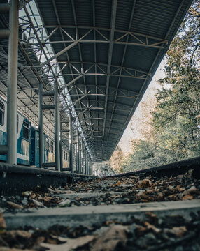 Autumnal railway platform concept photo. Passenger train in parkland.
