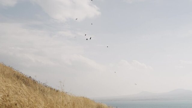 Slow motion of birds flying over lake am mountains in autumn