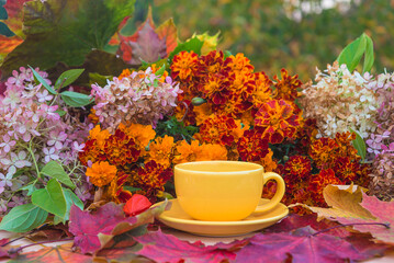 Autumn gardening concept; Yellow cup of tea, bunch of flowers and maple leaves in the garden