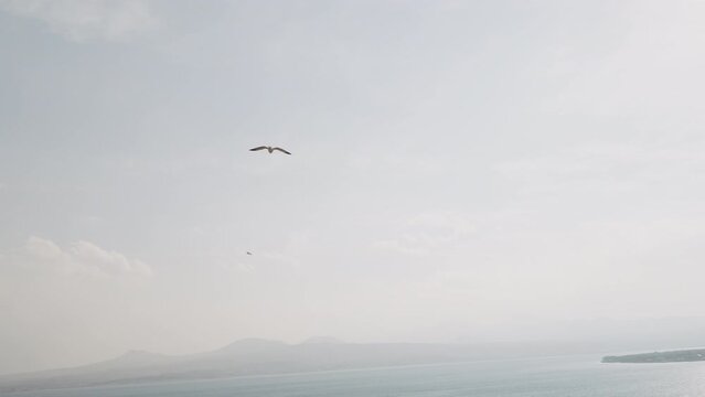 Slow motion of birds flying over lake am mountains in autumn