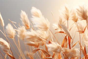 Bouquet of dried grass grains on a beige background. Poster, flower card or background.