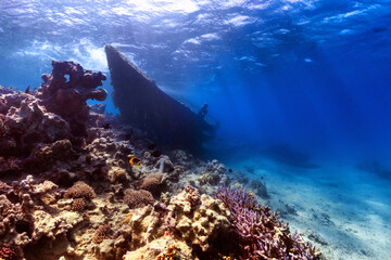 shipwreck on coral reef