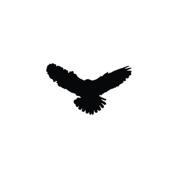 Falcon bird icon. Simple style wildlife poster background symbol. Falcon bird brand logo design element. Falcon bird t-shirt printing. Vector for sticker.