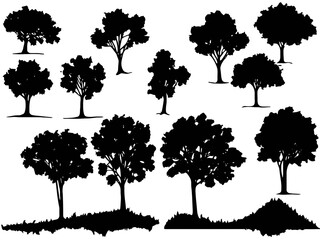 Mystical Forest: A Set of Vector Black Silhouettes of Trees