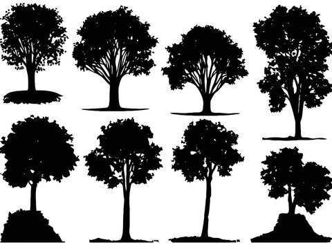 Vector Tree Silhouettes Collection