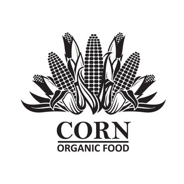 corn cob emblem isolated on white background