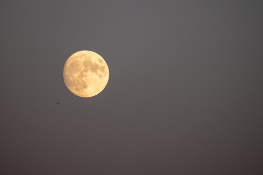 full moon in the night
