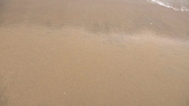 The wave foam on the beach