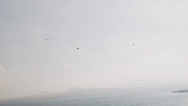 Slow motion of birds flying over lake am mountains in autumn