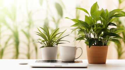 Obraz premium Work from home essentials. laptop and coffee