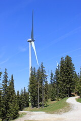 Sauberer Strom: Windenergie