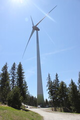 Erneuerbare Energie: Windkraft