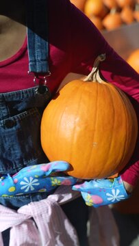 Amid the market's activity, a young woman farmer is seen proudly presenting the pumpkins she offers.