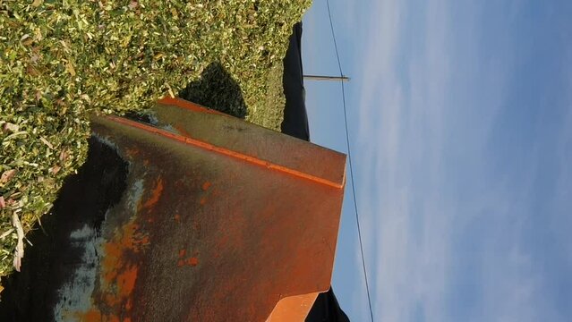 vertical making silage for the winter food for animals on farm 