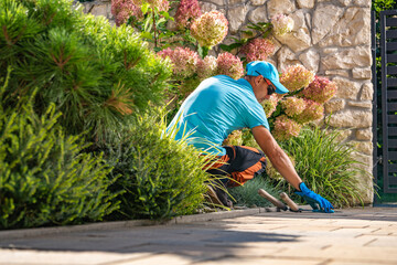 Gardener Pruning His Clients Backyard Garden Plants