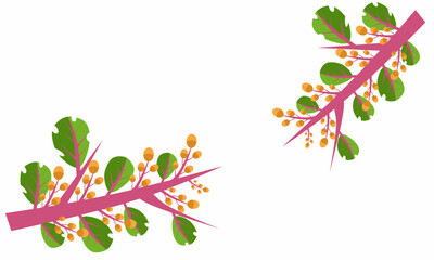 Vector illustration, floral frame or decorative ornament of flowers and leaves with isolated white background.