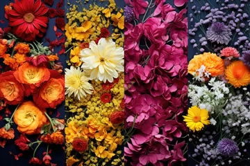 Muurstickers Colorful flowers on a wall. Different variations of flower blooms. A beautiful combination of bouquets for weddings, events, decor, floristry, composition creation. © Hope