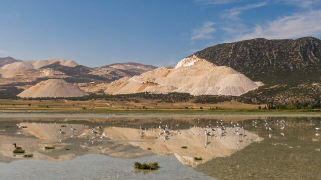 Waterfowl in a drying lake. Marble quarries and destroyed mountains.
