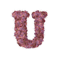 Symbol from autumn red leaves. letter u
