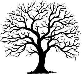 Silhouette of one wide massive old oak tree without leaves isolated illustration, black majestic oak without foliage with a rough trunk and big crown
