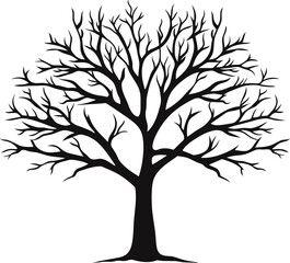 Obraz premium tree branches silhouette isolated over white background with lot of leaves, border of a page