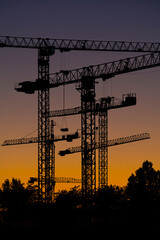 Naklejka premium Silueta de conjunto de torres de grúas al atardecer en un terreno donde se están realizando obras de construcción de edificios residenciales.