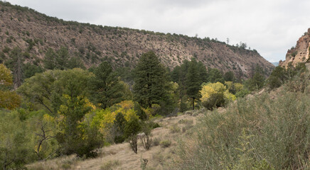 Fototapeta na wymiar Frijoles canyon in Bandelier Park