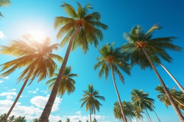 Fototapeta na wymiar Scenic paradise with palm trees and clear blue skies for vacations, tourists, and travel inspiration. Generative AI