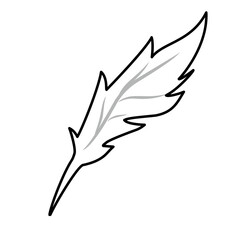 feather line icon