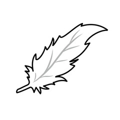 feather line icon